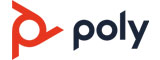 Poly Logo