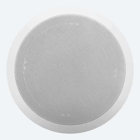 Viking 40-IP Paging Speaker